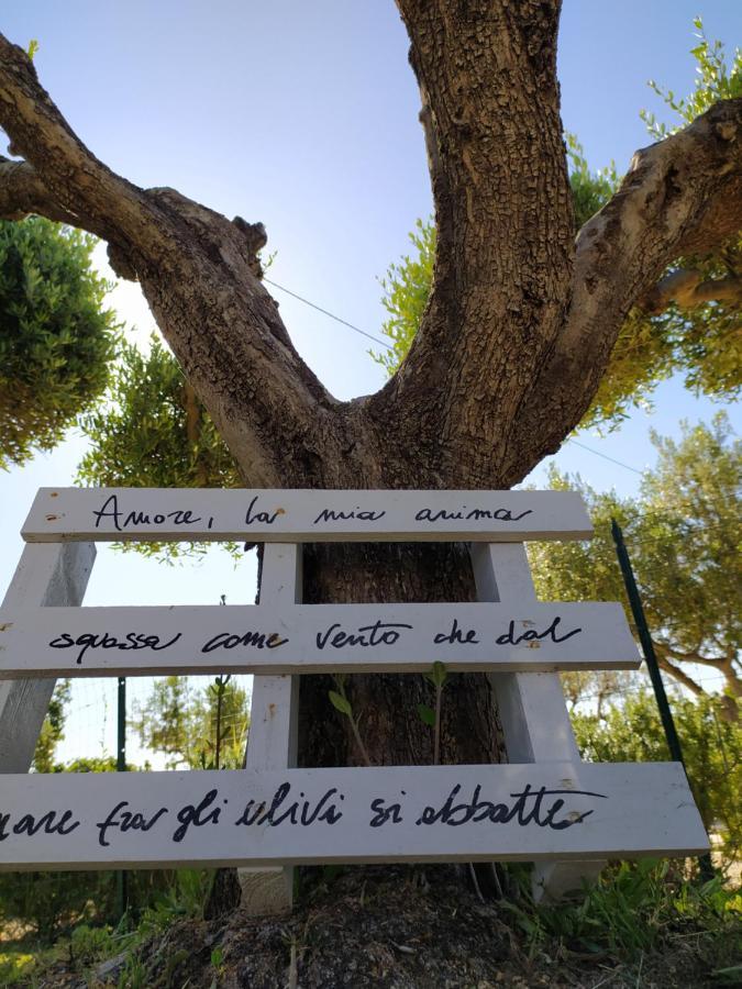 Relais Il Giardino Fra Gli Ulivi Villa Torino di Sangro Ngoại thất bức ảnh